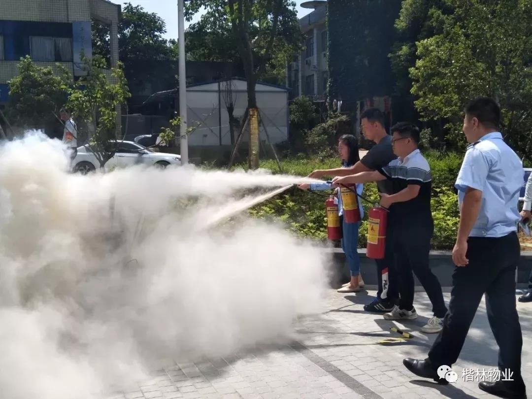 1578021350133695.jpg 1578021350133695.jpg