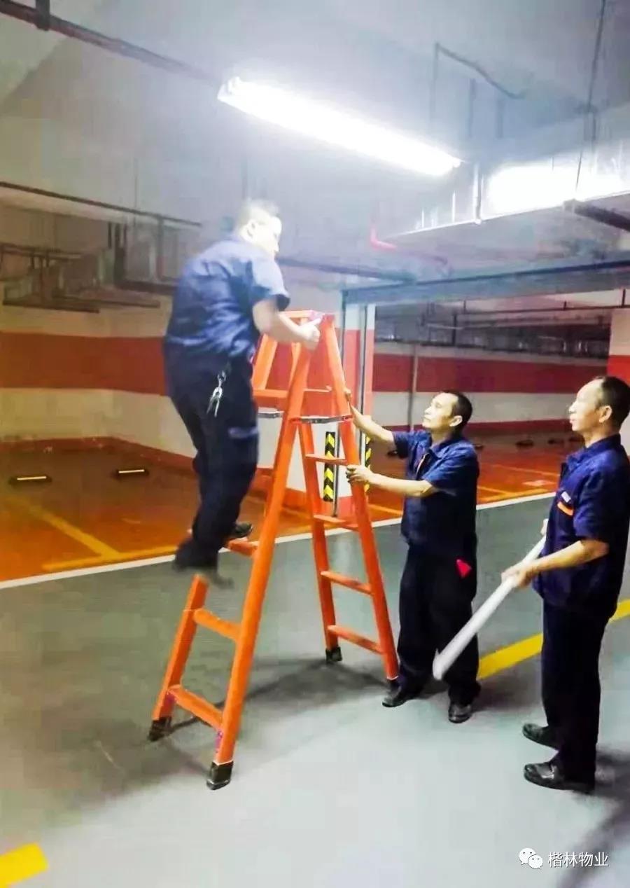 1578021405228068.jpg 1578021405228068.jpg