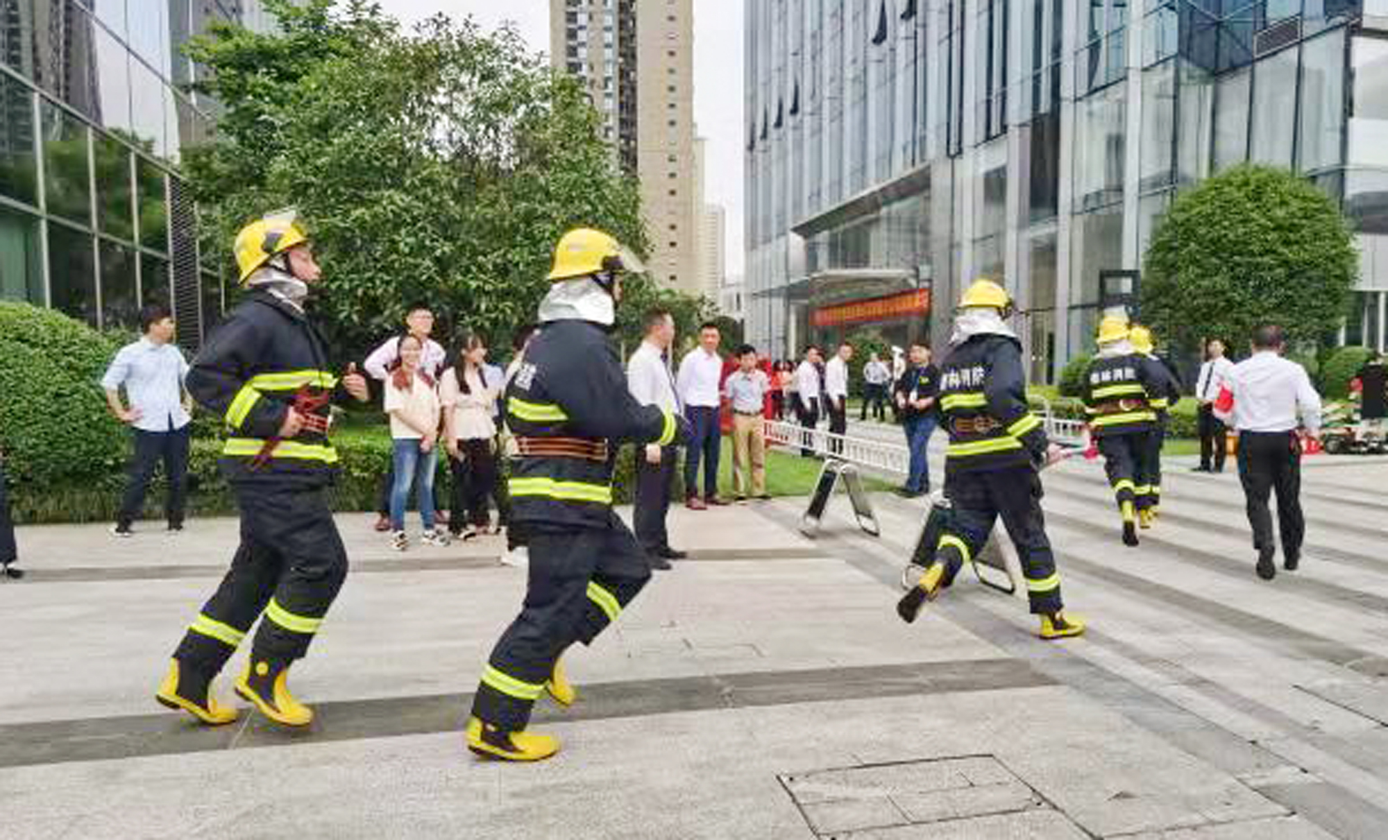 1625105234113440.jpg 9ea49aef2352d921b7b84ff009ca06a.jpg