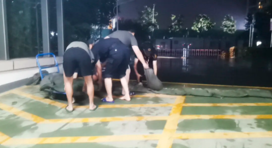 1627875038817001.png image.png