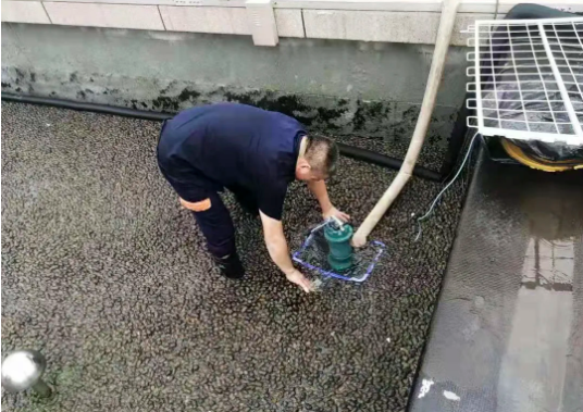 1627875057479115.png image.png