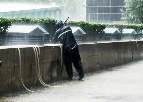 1627876204846607.png image.png